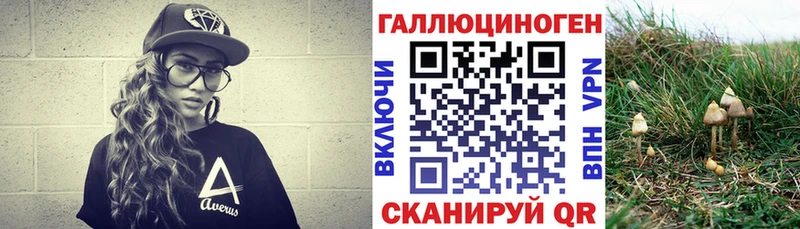Купить где  Лаишево  Псилоцибиновые грибы Psilocybe 